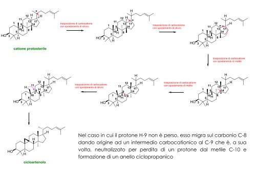 Via biogenetica del mevalonato - Farmaciaunina2.it