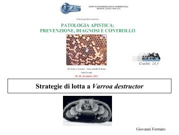 Strategie di lotta a Varroa destructor