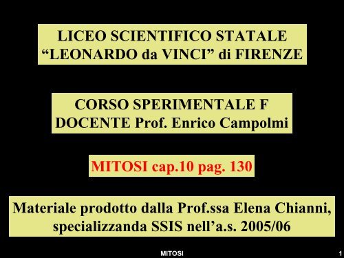 Diapositiva 1 - Liceo Scientifico Statale Leonardo da Vinci - Firenze