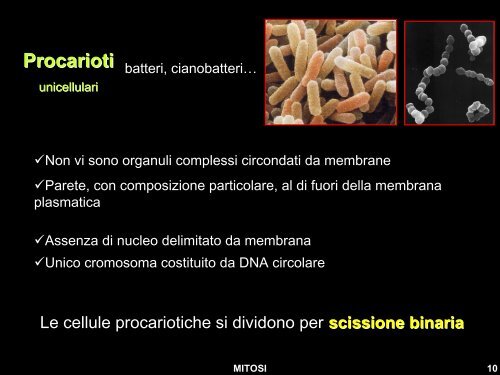 Diapositiva 1 - Liceo Scientifico Statale Leonardo da Vinci - Firenze