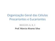 Organização Geral das Células Procariontes e Eucariontes