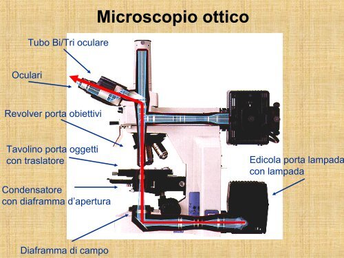 esercitazione n.1 e n.2