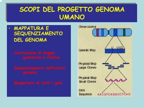 Programma genoma umano - le biotecnologie