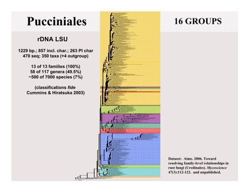 Rust Phylogenetics - Plant Management Network