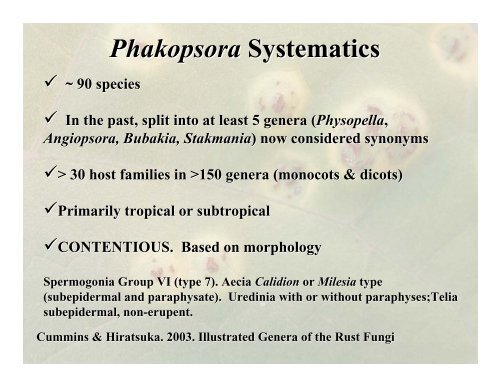 Rust Phylogenetics - Plant Management Network