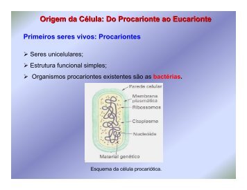 Origem da Célula: Do Procarionte ao Eucarionte