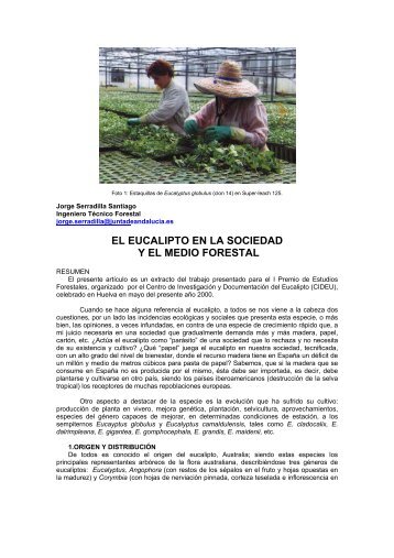 Texto completo - Universidad de Huelva