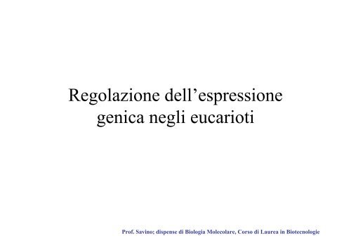 Regolazione dell'espressione genica negli eucarioti