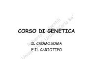 Il cromosoma e il cariotipo - la genetica a urbino