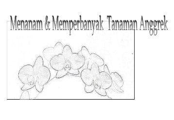 Menanam Dan Memperbanyak Tanaman Anggrek