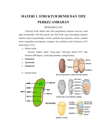 struktur-dan-tipe-perkecambahan - laboratorium pemuliaan tanaman