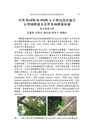 利用RAPD 與ISSR 分子標誌技術鑑定台灣蝴蝶蘭及菲律賓蝴蝶蘭物種