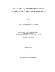 Thesis CV final2 - Repository - Texas A&M University