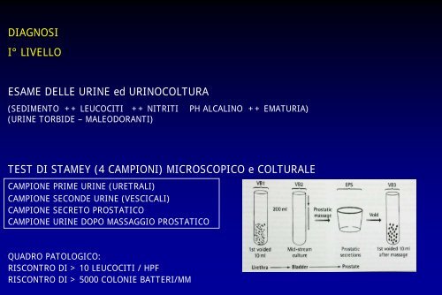 prostatite urine torbide
