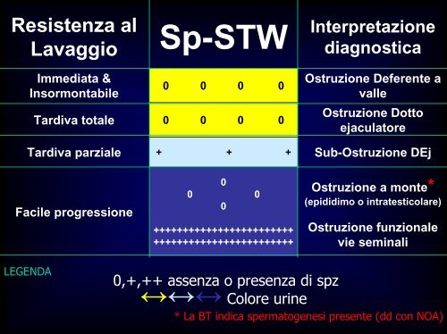 Inquadramento nosografico e indagini dell'azoospermia