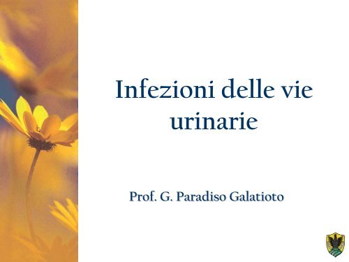 1357125824-infezioni vie urinarie.pdf - Medicina e chirurgia