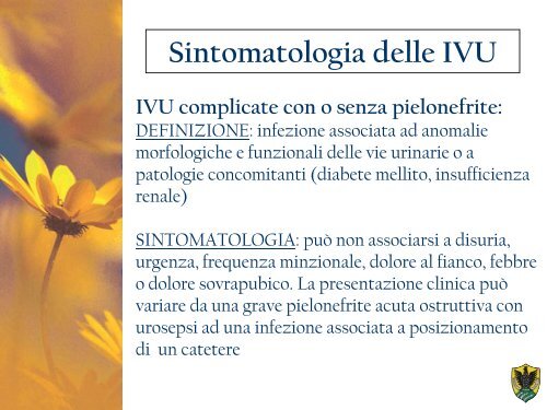 1357125824-infezioni vie urinarie.pdf - Medicina e chirurgia