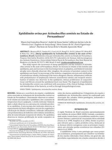 Epididimite ovina por Actinobacillus seminis no Estado de ...