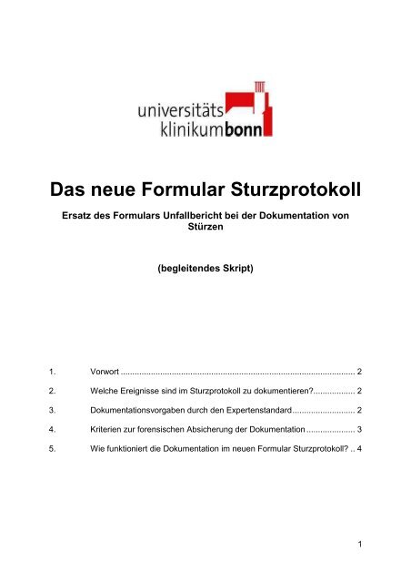 Das Neue Formular Sturzprotokoll