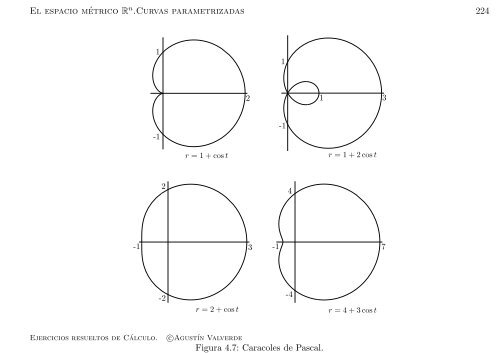 Ejercicios resueltos de Cálculo - Universidad de Málaga