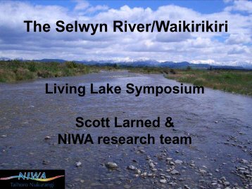 The Selwyn River/Waikirikiri