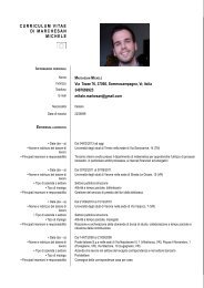 Francesco Castelli Curriculum Vitae