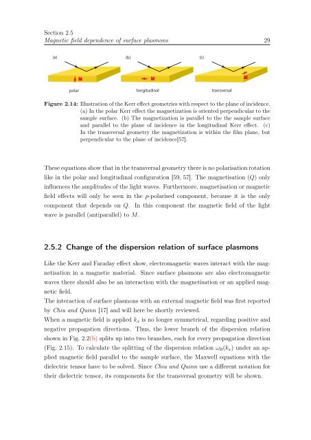 Surface magneto-plasmons in magnetic multilayers - Walther ...