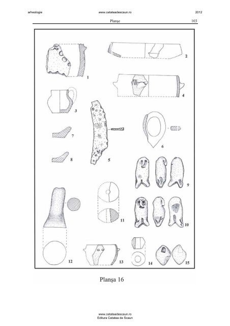 Asezarea getica fortificata de la Cotu Copalau - Editura Cetatea de ...