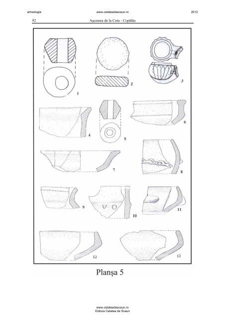 Asezarea getica fortificata de la Cotu Copalau - Editura Cetatea de ...