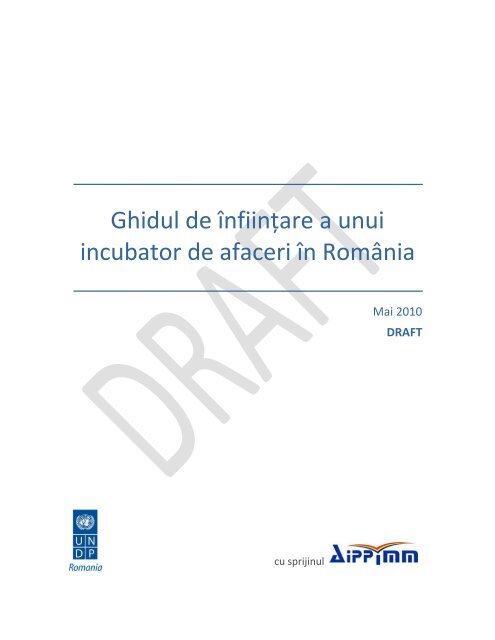 Ghidul de înfiinţare a unui incubator de afaceri în România: DRAFT