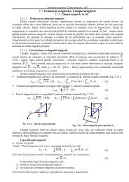 Fenomene magnetice.Campul magnetic - derivat