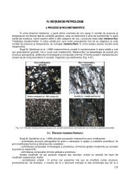 Curs 6 - Petrologie metamorfică - Doru Juravle