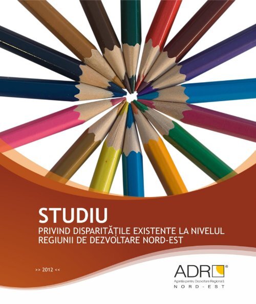 Studiu privind disparitatile existente la nivelul Regiunii de dezvoltare ...