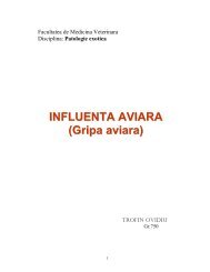 INFLUENTA AVIARA (Gripa aviara) - ReferateOK