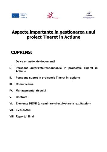 Aspecte importante in gestionarea unui proiect Tineret in Actiune ...