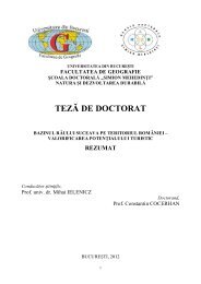 Rezumat teza Cocerhan - 38pag.pdf - Universitatea din București