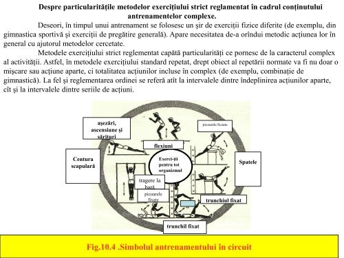 Teoria si metodologia antrenamentului sportiv (Lectia12)