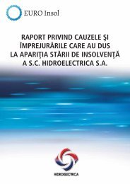 Raportul administratorului judiciar - Hidroelectrica