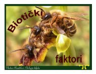 15-Bioticki-odnosi-Mutualizam.pdf