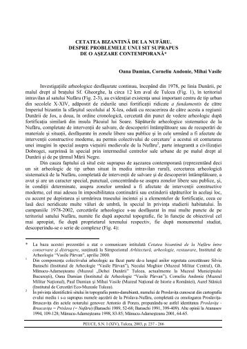 Oana DAMIAN, Corneliu ANDONIE, Mihai VASILE - revistapeuce ...