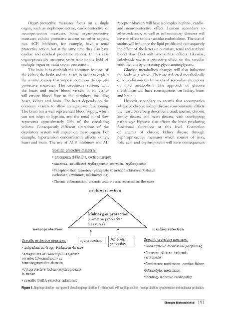 nEPHroProtEction, Part oF MULti-orGan ProtEction