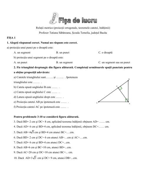 Relaţii metrice (proiecţii ortogonale, teoremele catetei, înălţimii ...