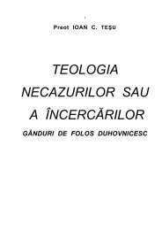 Teologia necazurilor sau a încercărilor - Tineretul Ortodox