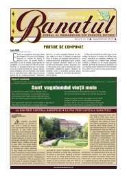 Sunt vagabondul vieţii mele - Revista Banatul