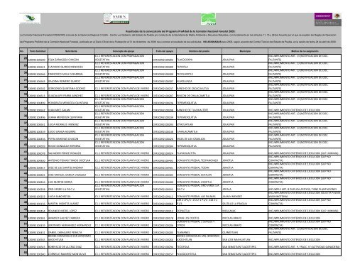 C1.1 REFORESTACION PUBLICACION.xlsx - Conafor