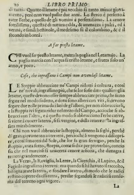 La nuda architettura civile e militare, tomo I - Le Mura di Lucca