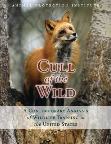 Book-Cull-of-the-Wild