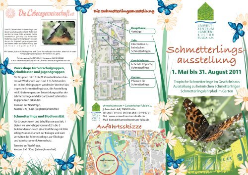 Schmetterlings- ausstellung - Umweltzentrum Fulda