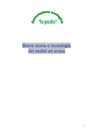 Breve storia e tecnologia dei mulini ad acqua - la Puska