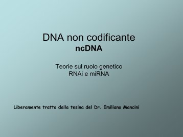 DNA non codificante ncDNA Teorie sul ruolo genetico RNAi e miRNA